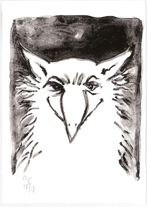 essai pour ANIMALPHABET