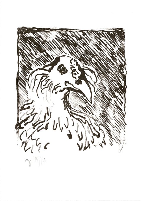 Draag