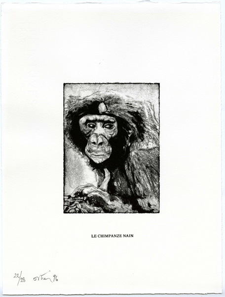 Le chimpanzé nain