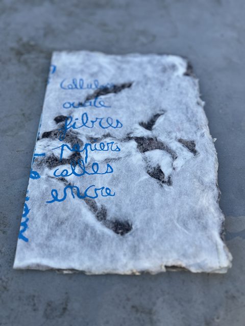 Cellulose ouate fibres papiers colles encre